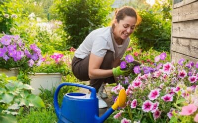 A regulated nervous system brings relief and hope